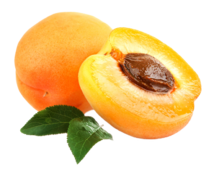 0402bsjg-2e77-219x174.png