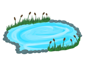0402bsm8-835f-284x189.png