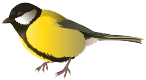 0402bsmp-00ca-286x157.png