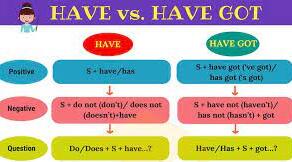 The verb have got