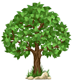 0402bte3-582b-242x266.png