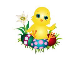 0402bxbp-c314-257x193.jpg