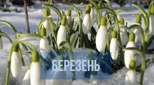 Про перший місяць весни 🤗