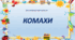 Презентація, демонстраційний матеріал  "Комахи"