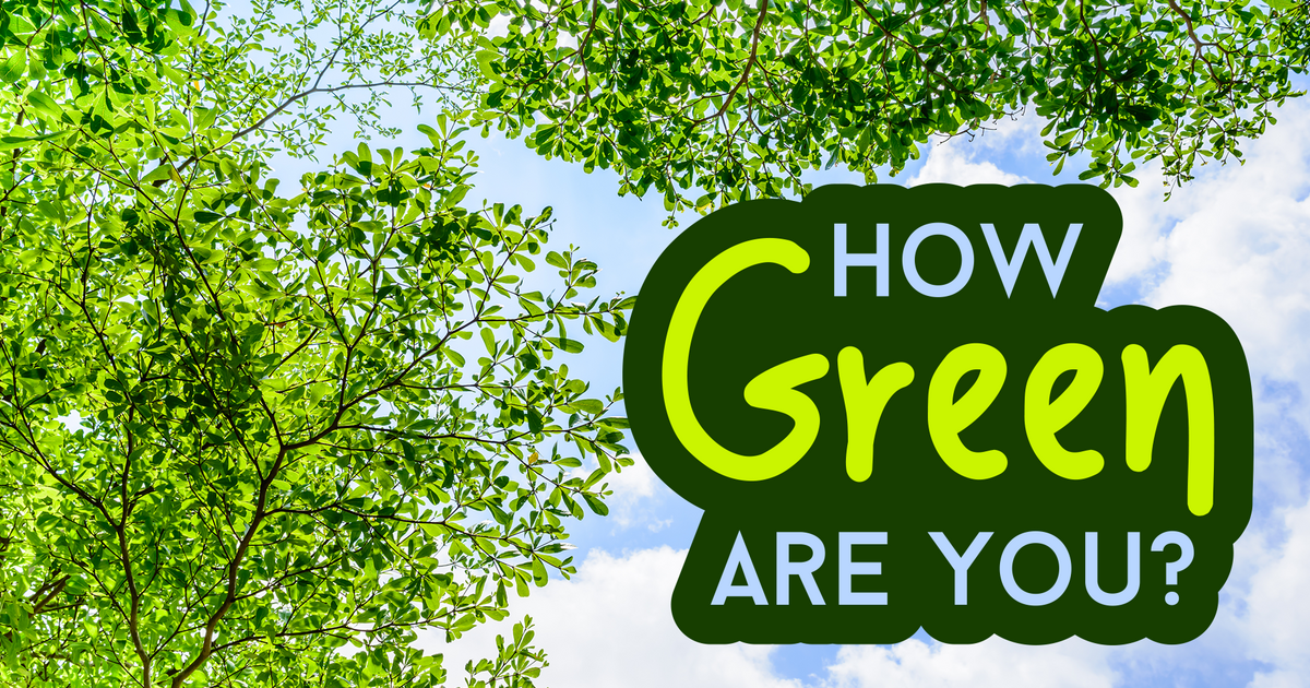 How Green You Are Урок на 5 завдань. Англійська мова
