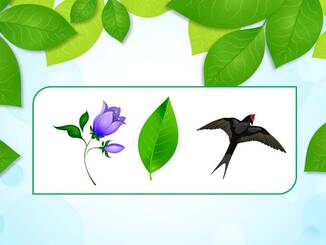 0402c4os-3d8a-326x245.jpg
