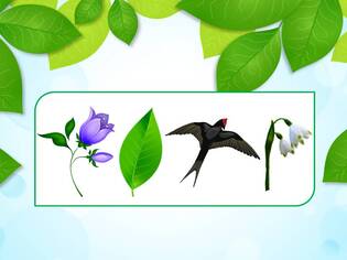 0402c4ou-37ab-315x236.jpg
