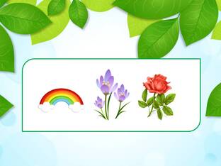 0402c4ov-a6f5-312x234.jpg