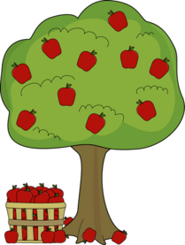 0402c8gb-494d-209x277.png