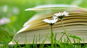 Вірш "Книга життя"