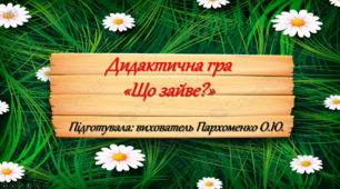 Презентація Дидактична гра "Що зайве?"