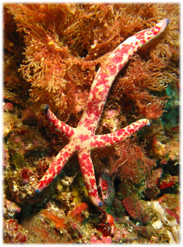 0402cayy-5c6f-586x791.png