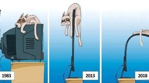 Scientific and technological advance (1 year) (ФМБ)