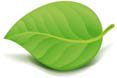 0402cdoy-a850-169x113.png