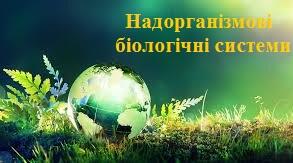 Надорганізмові біологічні системи