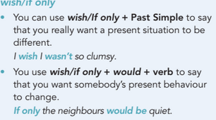 6.2 If only/wish