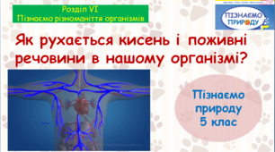 Презентація "Як рухається кисень та поживні речовини в нашому організмі". "Пізнаємо природу" 5 клас НУШ.