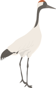 0402cget-0613-197x307.png
