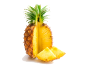 0402cgi3-b5d8-177x149.png