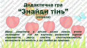 Дидактична гра "Знайди тінь. Комахи"