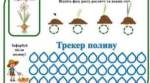 Щоденник спостережень за ростом рослин