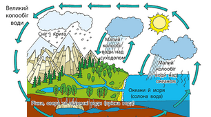 Доповідь"Колообіг води у природі. Охорона прісних водойм."