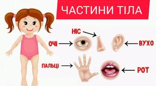 Заняття для дітей старшого дошкільного віку "Частини тіла".