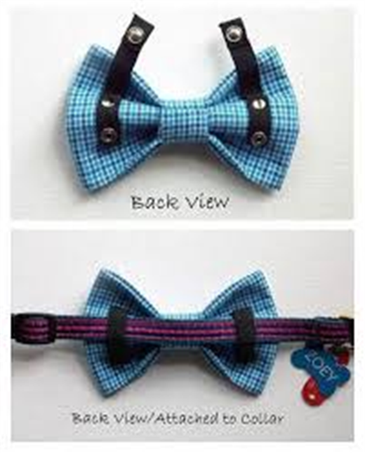 0402clv5-1f08-520x648.png