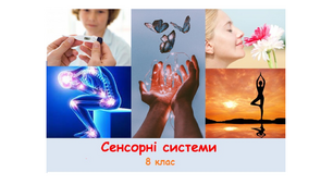 Сенсорні системи - 8 клас
