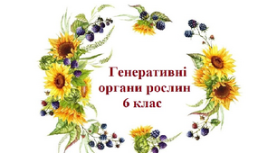 Генеративні органи рослин ( зображення)