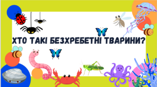 Презентація для 5 класу на тему ,,Хто такі безхребетні тварини?,,