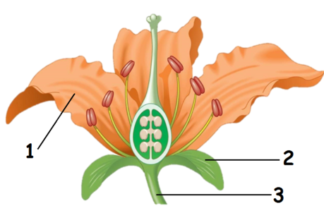 0402cnim-e022-459x302.png