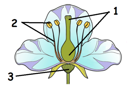 0402cniy-043a-451x288.png