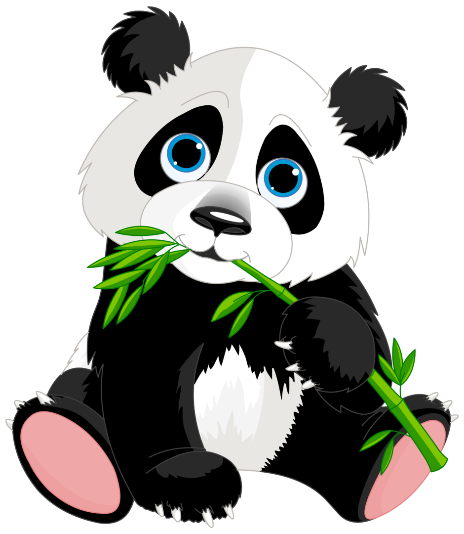 0402cpcs-4b24-940x1080.png