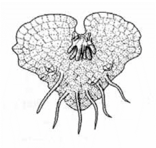 0402cqes-b1ba-496x470.png