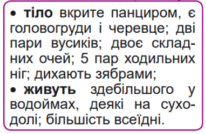 0402csij-6760-206x134.png