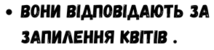 0402csol-17f4-214x50.png