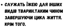 0402csoq-2f5c-204x91.png