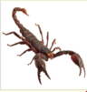 0402ct4m-73dc-96x101.png