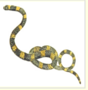 0402ct4v-93f6-88x90.png
