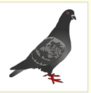 0402ct4x-f1bd-91x93.png