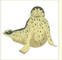 0402ct51-7c6d-89x86.png