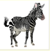 0402ct53-3f30-102x105.png