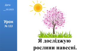 Презентація на тему: "Я досліджую рослини навесні." ЯДС 2 клас ІІч. автор Большакова І.О.