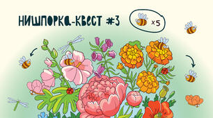 Нишпорка-квест #3