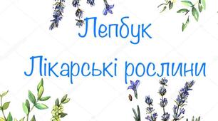 Розробка Лепбука  "Лікарські рослини"