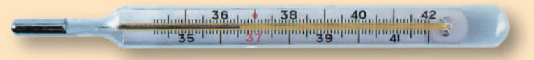 0402cuo2-bd27-765x87.png