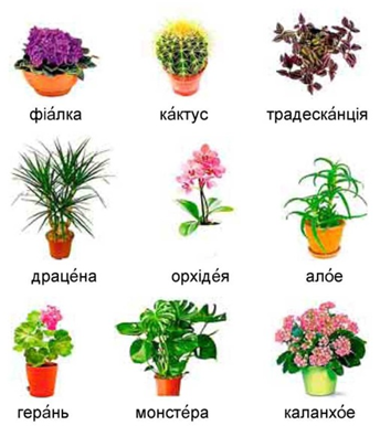 0402cxi1-c9c6-344x386.png
