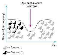 0402cxqg-4da3-228x221.jpg