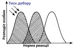 0402cxrq-e29d-258x173.jpg